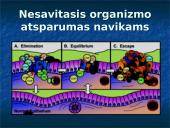 Navikas ir organizmo imunitetas, antigeninės navikų savybės, nesavitasis organizmo atsparumas navikams  17 puslapis