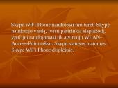 Nemokamos pokalbių internetu programos: Skype 12 puslapis