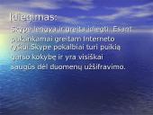 Nemokamos pokalbių internetu programos: Skype 5 puslapis