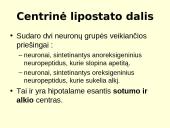 Nutukimo apibrėžimas 12 puslapis