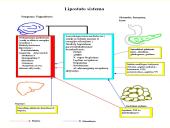 Nutukimo apibrėžimas 13 puslapis