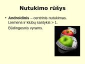 Nutukimo apibrėžimas 4 puslapis