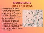 Dermatologija ir odos ligos 19 puslapis