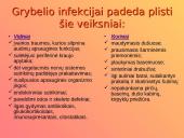 Dermatologija ir odos ligos 20 puslapis