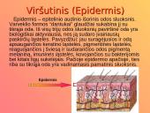 Dermatologija ir odos ligos 6 puslapis