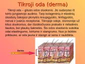 Dermatologija ir odos ligos 7 puslapis