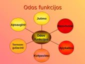 Dermatologija ir odos ligos 9 puslapis