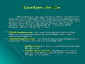 Odos navikai 16 puslapis