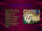 Olandijos geografinė padėtis 11 puslapis