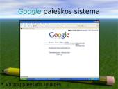 Paieška žiniatinklyje 13 puslapis