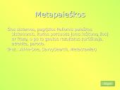 Paieška interneto žiniatinklyje 8 puslapis
