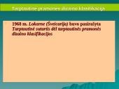 Patentinė informacija 13 puslapis