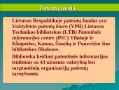 Patentinė informacija 17 puslapis