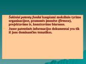 Patentinė informacija 19 puslapis