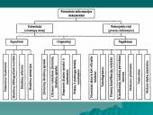 Patentinė informacija 4 puslapis