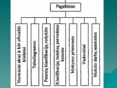 Patentinė informacija 7 puslapis