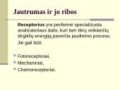Pojūčiai ir suvokimas 4 puslapis
