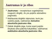 Pojūčiai ir suvokimas 5 puslapis
