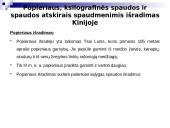 Poligrafinės spaudos išradimas 2 puslapis