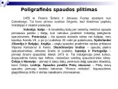 Poligrafinės spaudos išradimas 18 puslapis