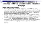 Poligrafinės spaudos išradimas 5 puslapis