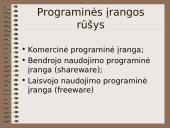 Programinė įranga 19 puslapis