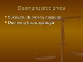 Programinės įrangos bei duomenų teisinė apsauga 3 puslapis