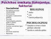 Psichinė sveikata 13 puslapis