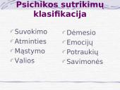 Psichinė sveikata 16 puslapis