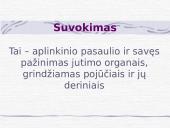 Psichinė sveikata 17 puslapis