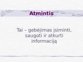 Psichinė sveikata 20 puslapis