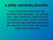 Kas yra radioaktyvumas? 4 puslapis