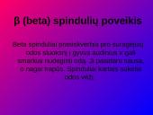 Kas yra radioaktyvumas? 5 puslapis
