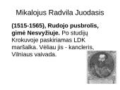 Radvilos 8 puslapis