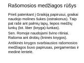 Raštas ir rankraštinė knyga antikinėje Europos visuomenėje 6 puslapis