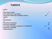 Renesanso kultūrinis sąjūdis 2 puslapis