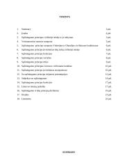 Sąžiningumo principas civilinėje teisėje