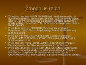 Senovės istorija iki Renesanso 4 puslapis