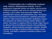 Septyni pasaulio stebuklai su aprašymais 17 puslapis