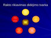 Skaičiuoklės (elektroninės lentelės) sąrašas 6 puslapis