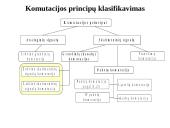 Skaitmeninės komutacijos principai 3 puslapis
