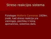 Stresas ir sveikata 4 puslapis