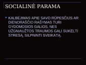 Stresas. Reakcija į ligą 12 puslapis