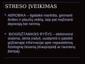 Stresas. Reakcija į ligą 7 puslapis