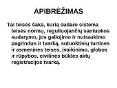 Šeimos teisės svarbiausi aspektai 2 puslapis