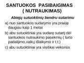 Šeimos teisės svarbiausi aspektai 11 puslapis