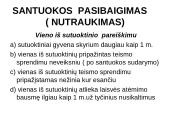 Šeimos teisės svarbiausi aspektai 12 puslapis