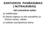 Šeimos teisės svarbiausi aspektai 13 puslapis