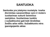 Šeimos teisės svarbiausi aspektai 3 puslapis