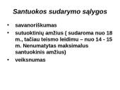 Šeimos teisės svarbiausi aspektai 4 puslapis